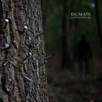 Escalate - If a Tree Falls