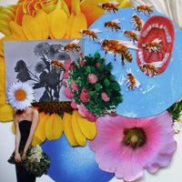 Honey Pot! - Apicultura para principiantes