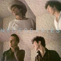The Necessaries - Big Sky