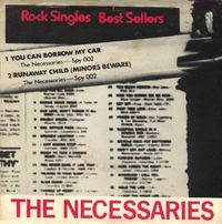 The Necessaries - You Can Borrow My Car