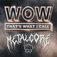 Designer Disguise - Wow That's What I Call Metalcore