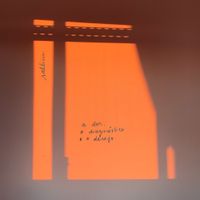 Sallim - a dor, o diagn​&oacute;​stico e o desejo