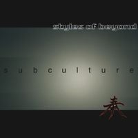 Styles of Beyond - Subculture