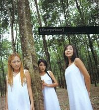 S.E.S. - Surprise
