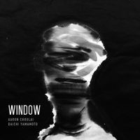 Aaron Choulai - WINDOW