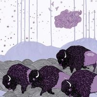 *shels - Plains of the Purple Buffalo