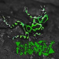 Phyllomedusa - Ravage All Opps