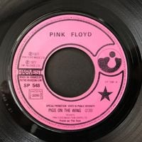 Pink Floyd - Pigs On The Wing