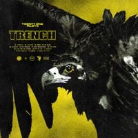 twenty one pilots - My Blood and a Few Others From Trench