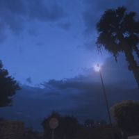 Megeau - Lvdd