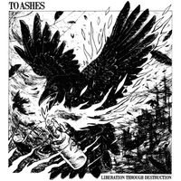 To Ashes - Liberation Through Destruction