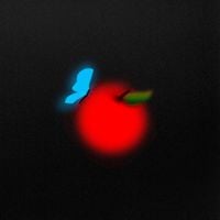 Lightning Bug - Opus