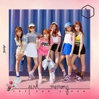 에이핑크 [Apink] - Pink MEMORY