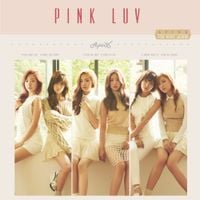 에이핑크 [Apink] - Pink LUV