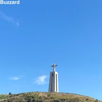 Bootleg Videotape - Buzzard
