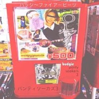 Budgie - Panty Soakers 3