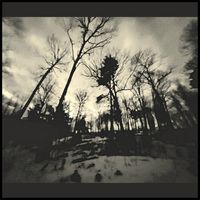 The Dead Land - Illinois