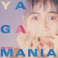 八神 純子 [Junko Yagami] - Yagamania