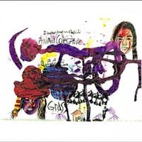 Animal Collective - Grass