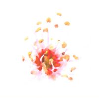Witness - Hope Springs Eternal