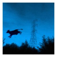 CattleChoir - The Upright