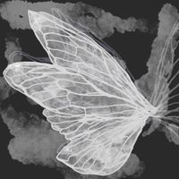 Vines - Gossamer (Vines version)