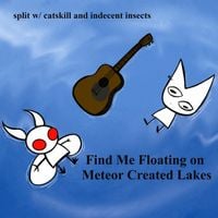 Catskill & Indecent Insects - Find Me Floating on Meteor Created Lakes