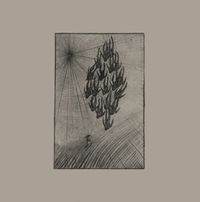 Áine O'Dwyer - Locusts