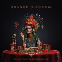 Orange Blossom - Spells From The Drunken Sirens