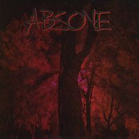 Absone - Absone & Decontaminate Split