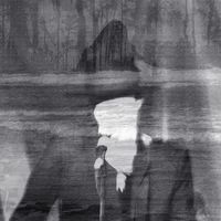 The Veils - Swimming with the Crocodiles