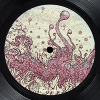 Gesloten Cirkel - I Live In The Midwest