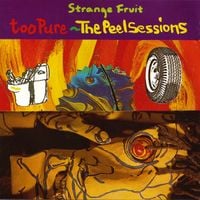 Th' Faith Healers - Too Pure - The Peel Sessions