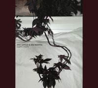 Sidsel Endresen & Stian Westerhus - Didymoi Dreams