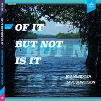 Ava Mendoza & Dave Sewelson - Of It but Not Is It