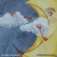 Cosmo Sheldrake - Interdimensional
