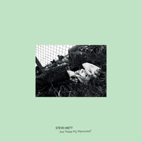 Steve Hiett - Are These My Memories?