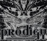 The Prodigy - Charly / Everybody in the Place