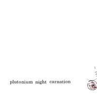 Ogiishi Akira - Plutonium Night Carnation