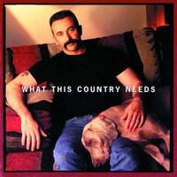 Aaron Tippin - What This Country Needs