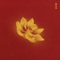 Ivan B - Black