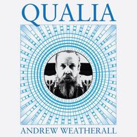 Andrew Weatherall - Qualia