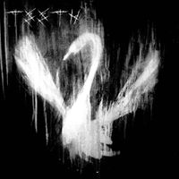 Teeth - Baby Duckling