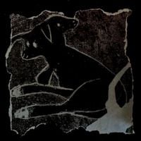 Zodiacs on the wing - Never Online