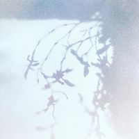 inno - discography 2k21-2k22