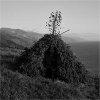Fletcher Tucker - "Cold Spring"