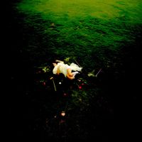 Lucy McWilliams - Plastic