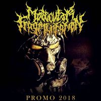 Molecular Fragmentation - Promo 2018