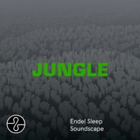 The Blaze - JUNGLE (Sleep Soundscape)