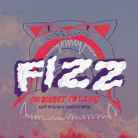 FIZZ - Live at Middle Farm